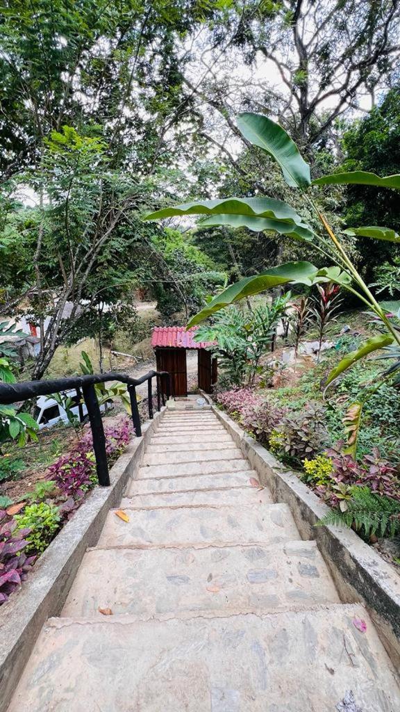 Minca Cabana La Roca Santa Marta  Zewnętrze zdjęcie